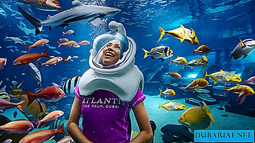Shark Week at Atlantis, The Palm, Dubai, UAE
