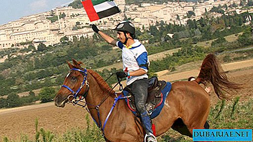 Pferdesportturnier Cross Country Course, Dubai, Vereinigte Arabische Emirate