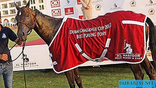 Dubai Challenge Cup 2018, Dubaj, ZEA