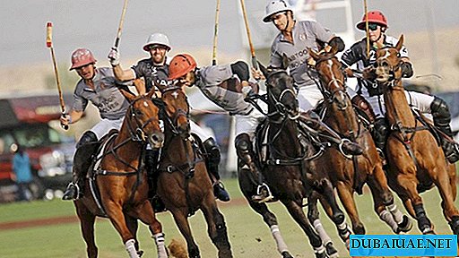 Dubai Equestrian Polo Cup, Dubai, UAE