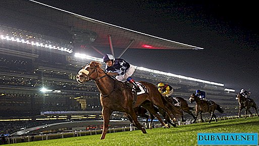 Paardenrennen Meydan Hourse Races, Dubai, Verenigde Arabische Emiraten