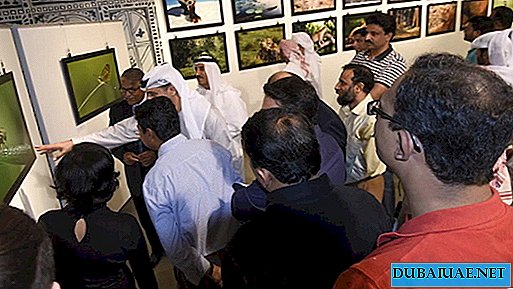 معرض المسارات البرية ، دبي ، الإمارات العربية المتحدة