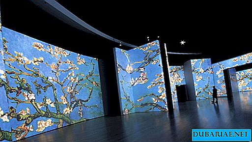 Exposition "Van Gogh. Toiles revivifiées", Dubaï, Émirats arabes unis