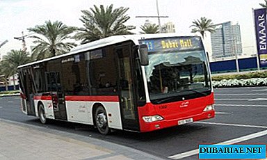 두바이 행 버스-가격, 노선, 일정