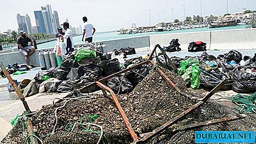 In Abu Dhabi holten Taucher ungefähr 1,5 Tonnen Müll aus dem Meer