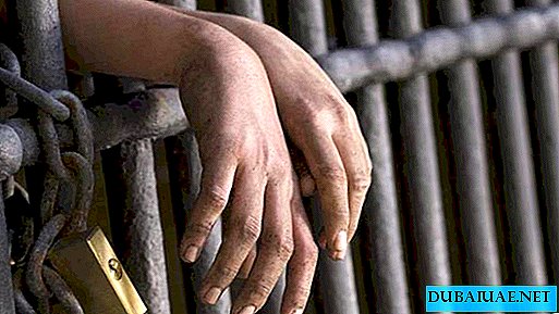 مواطن إماراتي تلقى 15 عامًا في السجن بتهمة التجسس