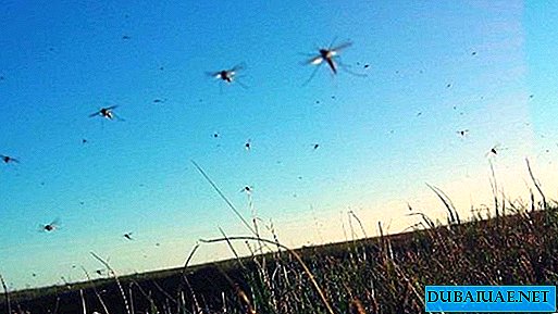 2 εκατομμύρια τόποι αναπαραγωγής κουνουπιών έχουν εξαλειφθεί στο Αμπού Ντάμπι