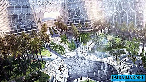 JAE fontano „EXPO 2020“ dizaineris gaus beveik 30 tūkst. USD