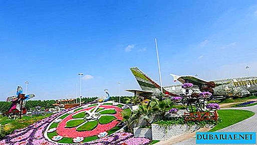 Ziedu parks Miracle Garden atkārtoti atveras Dubaijā 2017. gada 7. novembrī