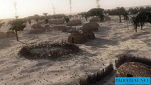 Arheologii din Emiratele Arabe Unite au descoperit urme ale unei așezări vechi de 8 mii de ani