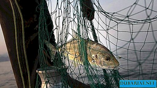 85% hlavních druhů ryb zničených v Perském zálivu