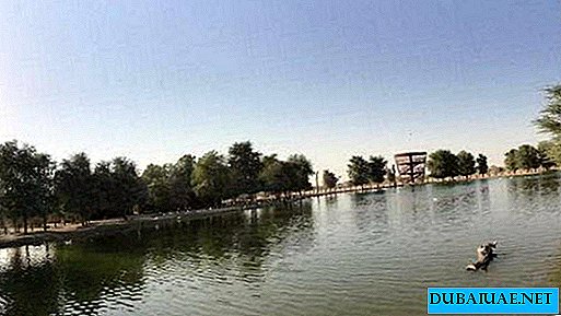 Dubajské jazero Al Qudra je zakázané