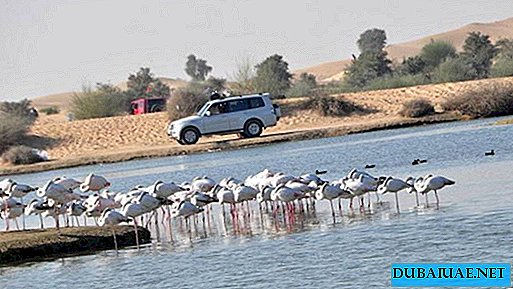 Dubajaus valdžia aiškina stovyklavimo taisykles prie Al Qudros ežerų