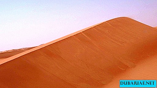 Riserva naturale di Al Ramlah | Meraviglie naturali degli Emirati Arabi Uniti
