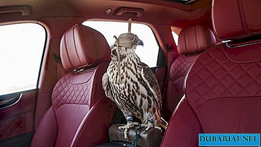 Bentley criou um super-luxo SUV para falcoaria