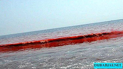 Costa degli Emirati Arabi Uniti bagnata da onde rosse