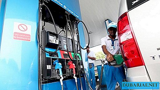 8 월 UAE 가스 가격 상승