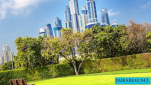 Dubai se volverá dos veces más verde en cinco años