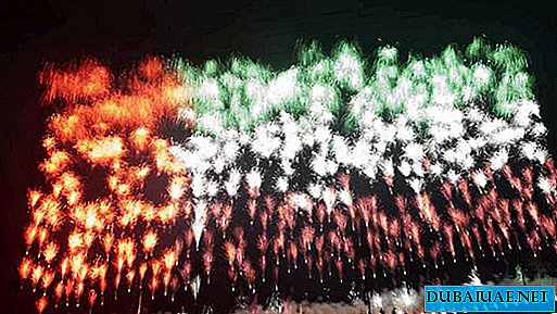 Dubai once again became a champion, this time in the city was organized the world's largest image of fireworks