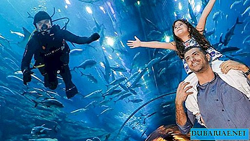 Dubajské akvárium spúšťa jedinečnú akvárium