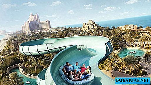El hotel de Dubai invitó a los huéspedes a pasar el tiempo en el parque acuático.