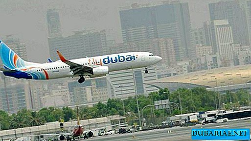 تأخر رحلة فلاي دبي بسبب تصادم الطيور