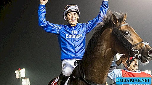 Bij de Dubai Cup in paardenraces bracht een hengst van Godolphin kraam de eigenaar $ 6 miljoen op