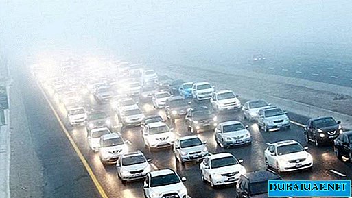 الضباب الصباحي الكثيف في دبي أثار "يوم سلب"