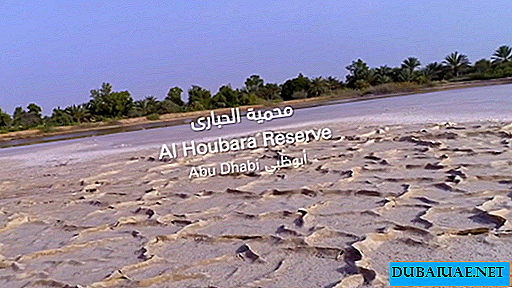 Hutan Simpan Houbara | Keajaiban semula jadi UAE