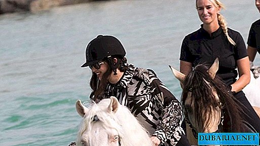 Cascades de surf à cheval conquérant Internet avec la participation des filles de la souveraine de Dubaï