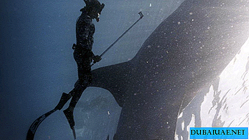 L'Internet a déclenché un selfie «dangereux» du Prince Dubaï avec un requin