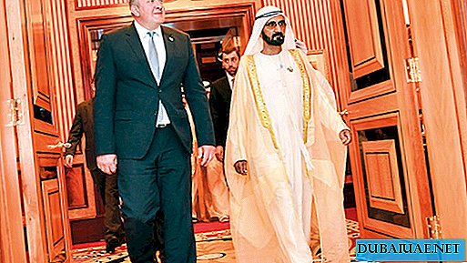 قادة دولة الإمارات وجورجيا يناقشون العلاقات الثنائية