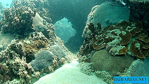 Marāvas jūras biosfēras rezervāts | Dabiski AAE brīnumi