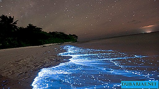 Luzes azuis misteriosas em uma das praias dos Emirados Árabes Unidos