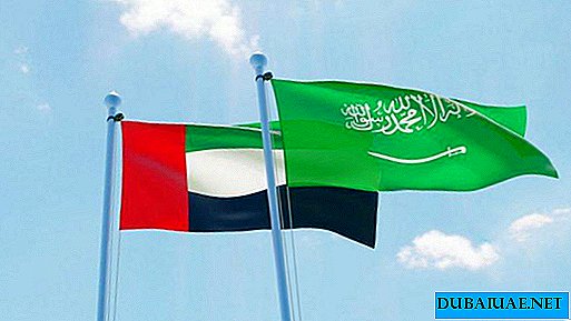 ZAE in Savdska Arabija sprejmeta skupen razvojni načrt