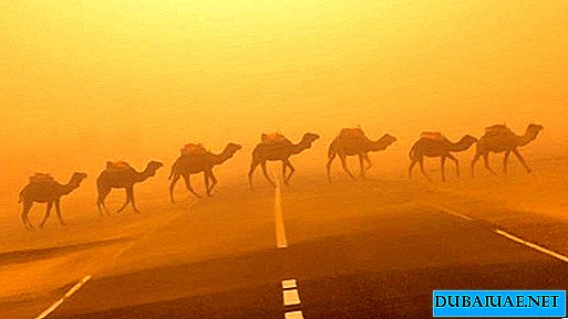 Emirados Árabes Unidos coberto com uma tempestade de areia