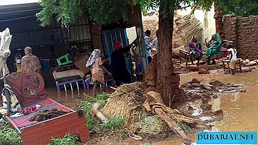 Τα ΗΑΕ θα στείλουν ανθρωπιστική βοήθεια στο Σουδάν