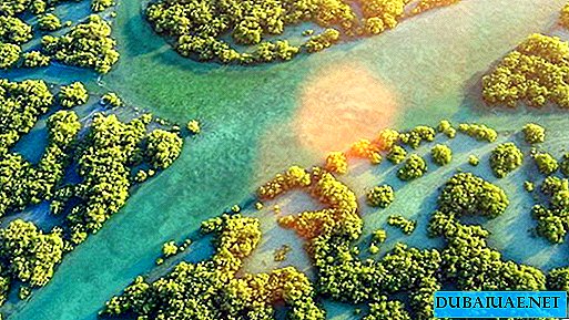 ОАЕ признат за лидер в запасите от мангрови дървета