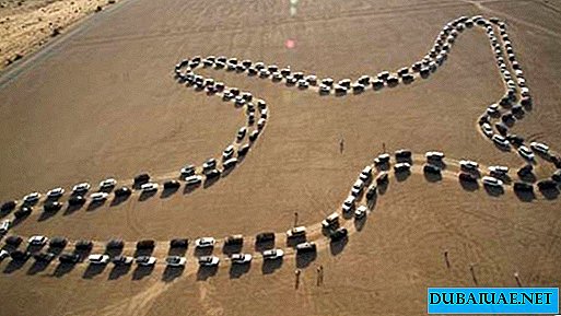 UAE, 자동차 무용 세계 기록 수립
