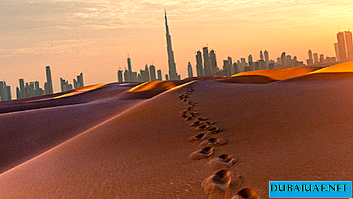 الإمارات العربية المتحدة تشديد متطلبات التأشيرة للباحثين عن عمل