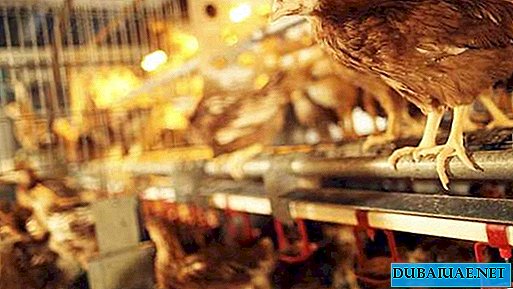 UAE banned the import of poultry from Russia