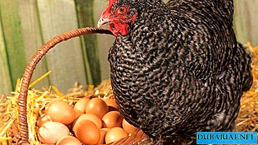 UAE banned the import of eggs and chicken from Saudi Arabia
