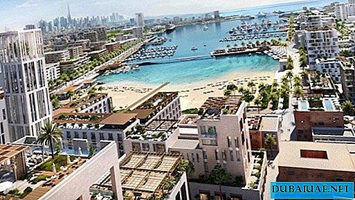 Viena no Dubaijas ostām pārvērtīsies par izklaides mega centru Rivjēras stilā