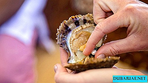 Yas Island aux EAU invite tout le monde à chercher des perles