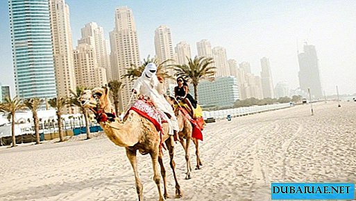 Cancellation of flights from Russian regions to Dubai negatively affects tourist flow