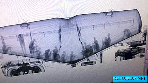 시멘트 탱크에서 위반자를 발견 한 UAE 국경 경비대