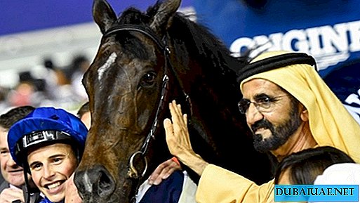 O governante de Dubai adquiriu novos cavalos no maior leilão do mundo