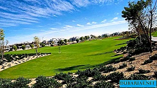 Il lussuoso campo da golf di Dubai inizia ad essere piantato con alberi unici