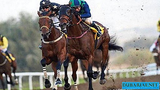 Russian horse wins prestigious horse race in Dubai