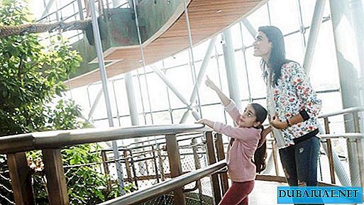 UAEs mest berømte innendørs regnskog opphever etableringsgebyr for barn